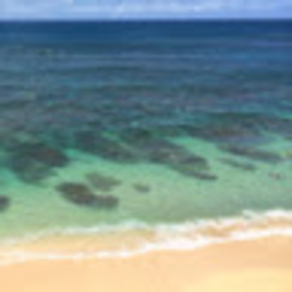 Meet your Posher, Marcus - Picture 1 of 1